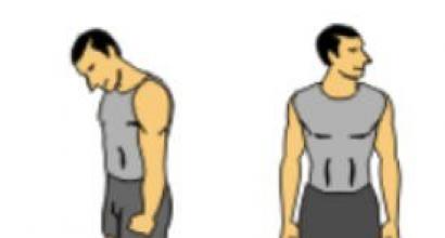 워밍업 원리 훈련 전에 근육을 워밍업하는 방법 훈련 전에 근육을 워밍업하는 운동